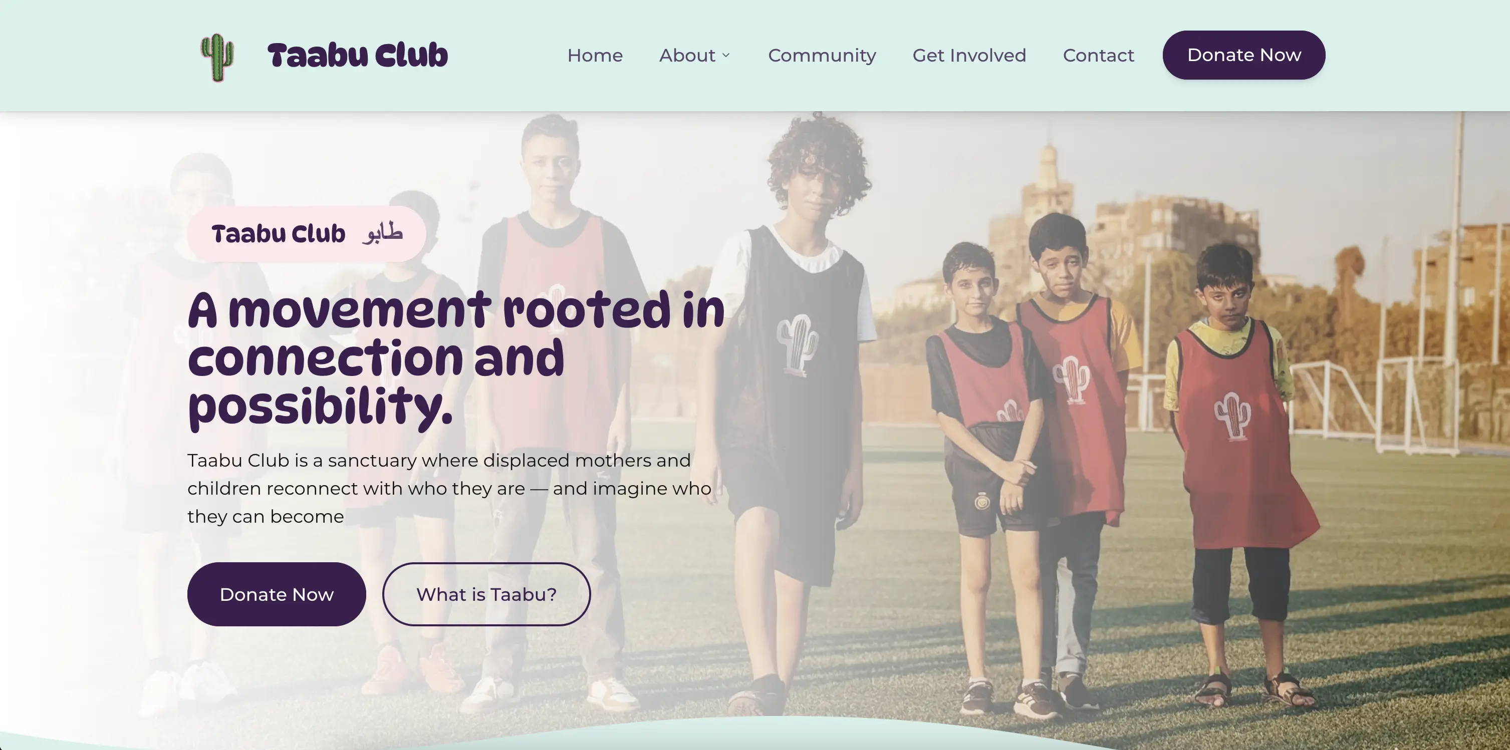 Taabu Club website preview