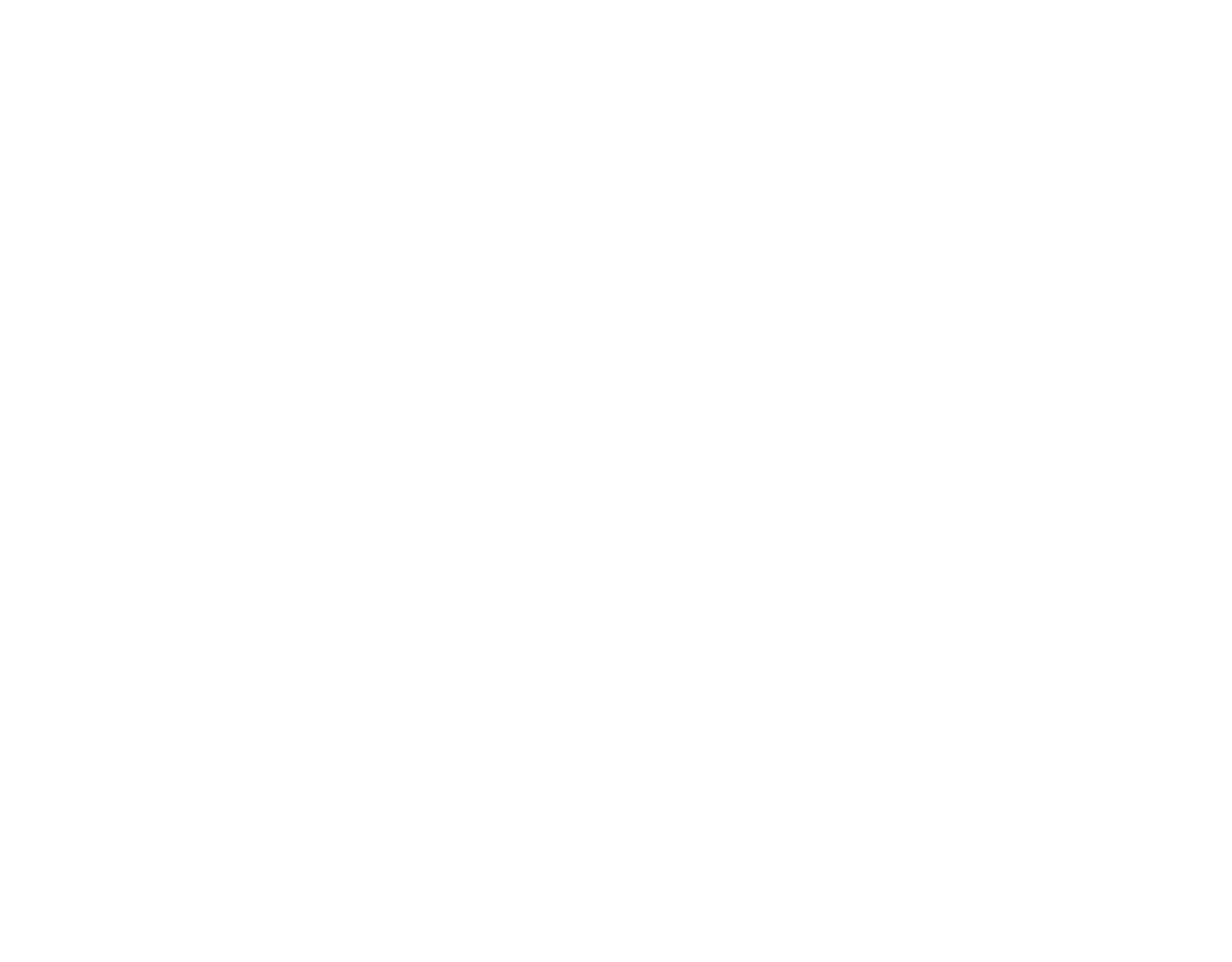 Neon One logo